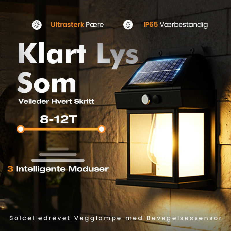 🎉50 % rabatt🎉Vegglampe i solformet wolfram💥
