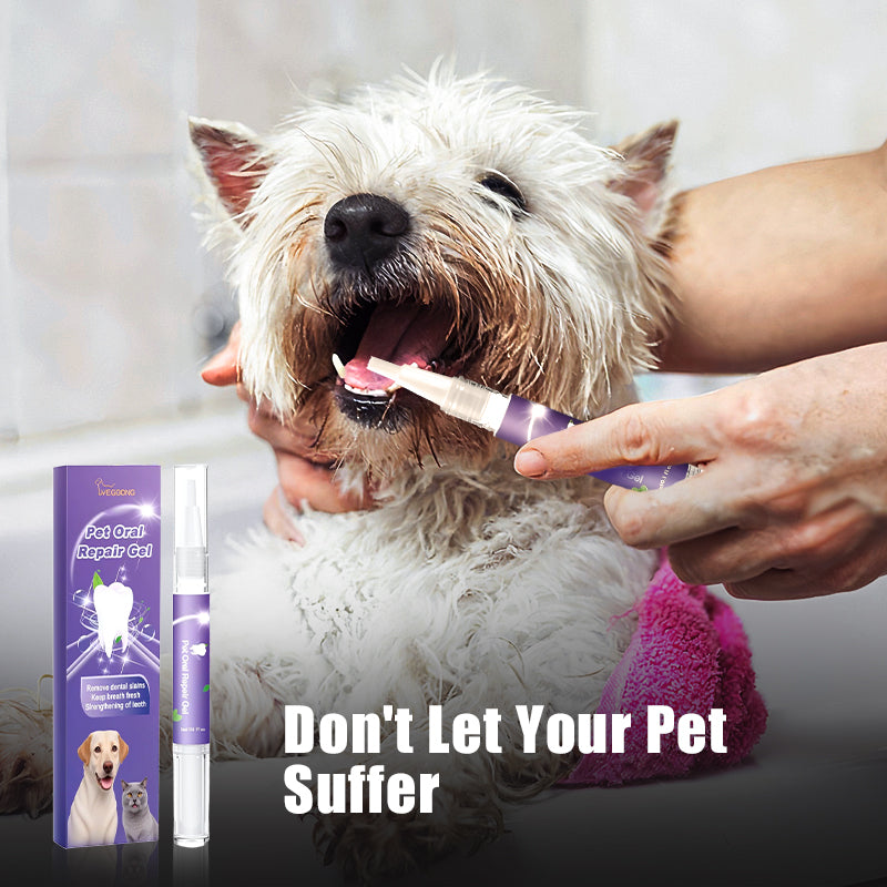 🔥 SISTE DAG - KJØP 1 FÅ 1 GRATIS 🔥 Tannbørste med gel for reparasjon av kjæledyrs munn 🐱🐶