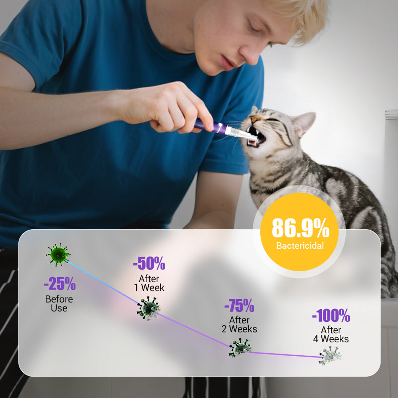 🔥 SISTE DAG - KJØP 1 FÅ 1 GRATIS 🔥 Tannbørste med gel for reparasjon av kjæledyrs munn 🐱🐶