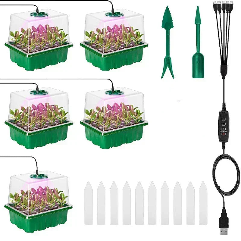 💎 💎 Gronings-brikker med dyrkingslys – Fuktighetsregulering, gjennomsiktige og med fullspektrumlys 🌱💡
