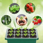 💎 💎 Gronings-brikker med dyrkingslys – Fuktighetsregulering, gjennomsiktige og med fullspektrumlys 🌱💡