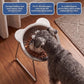⏳Time-Limited Special⏰Halloween 🥣15° Tilted Orthopaedic Feeding Bowl