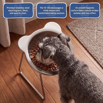 ⏳Time-Limited Special⏰Halloween 🥣15° Tilted Orthopaedic Feeding Bowl