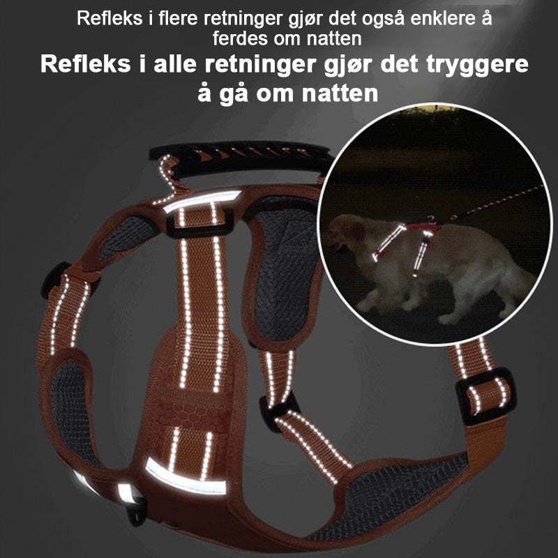 Trekkfri Hundesele for Kjæledyr