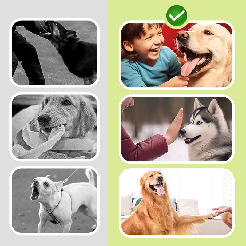 🌠Stille følgesvenn: 🐶ultralyd hundeavviser for enkle bjeffingsproblemer!