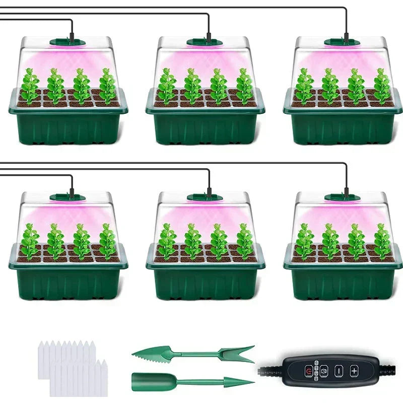 💎 💎 Gronings-brikker med dyrkingslys – Fuktighetsregulering, gjennomsiktige og med fullspektrumlys 🌱💡