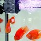 Aquarium Mini Wave Maker vannsirkulasjonspumpe