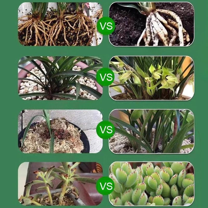 🌿Aktiveringsvæske for Planter og Blomster