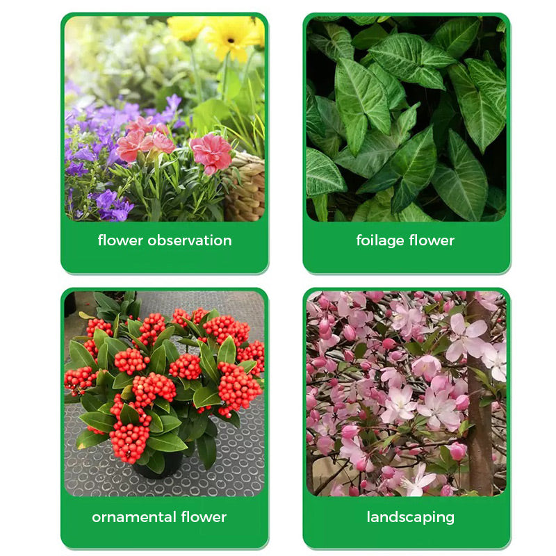 🔥Raskt rot- og blomstringspulver （50% AV）
