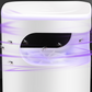 ✨Sommersalg - 50 % rabatt🔇🦟UV-fluefelle med klar kolleksjonsboks