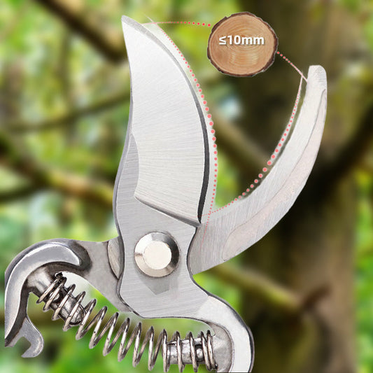 Hagearbeid Vårbeskjæringssaks