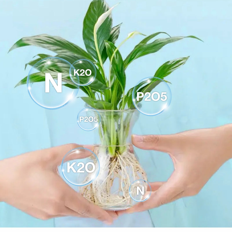 Hydroponisk Næringsløsning for Plantevekst