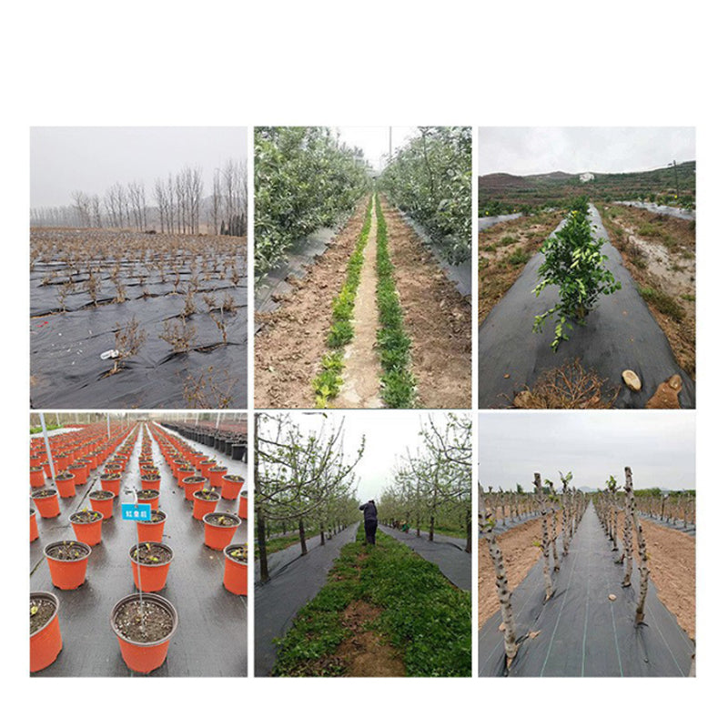 💧 Pustende ugressduk – slipper gjennom vann og luft, blokkerer sollys og hindrer ugress, perfekt for kjøkkenhagen, blomsterbed og dekkeavling 🍅