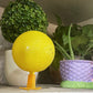 ⏰🎁Selvklebende fruktfluefelle i form av en ball med stativ og LED