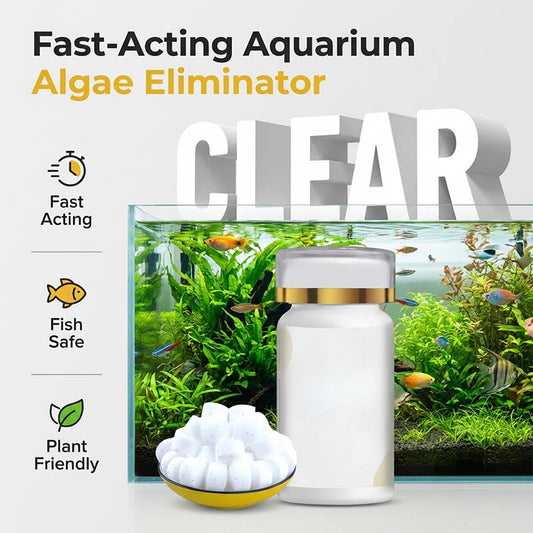 🎁 2026 HOT SALE! 🎁 Akvarium – Fjerner grøntvann og mose – effektivt og skånsomt! 🌿💧