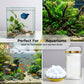 🎁 2026 HOT SALE! 🎁 Akvarium – Fjerner grøntvann og mose – effektivt og skånsomt! 🌿💧