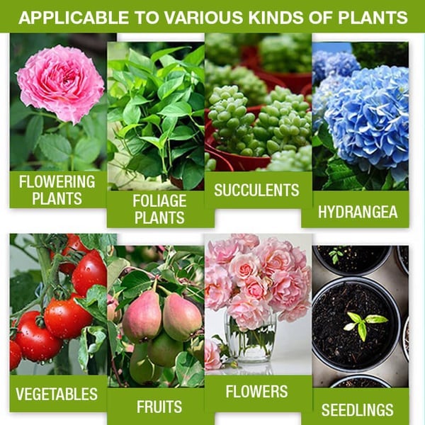 🔥Kjøp 2, få 1 gratis (3 enheter)🔥 Næringsrik planteløsning