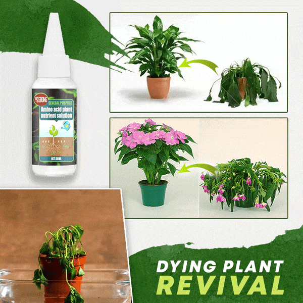 🔥Kjøp 2, få 1 gratis (3 enheter)🔥 Næringsrik planteløsning