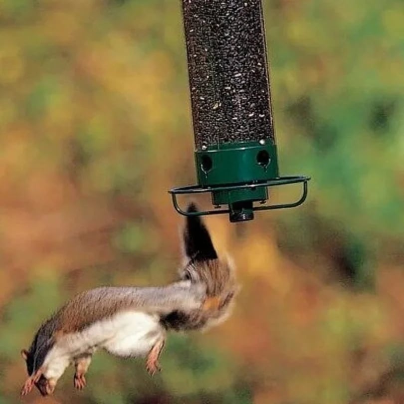 🐦Begrenset tilbud: 50 % RABATT – Stor fuglemater for hagen – slitesterk og ekornsikker