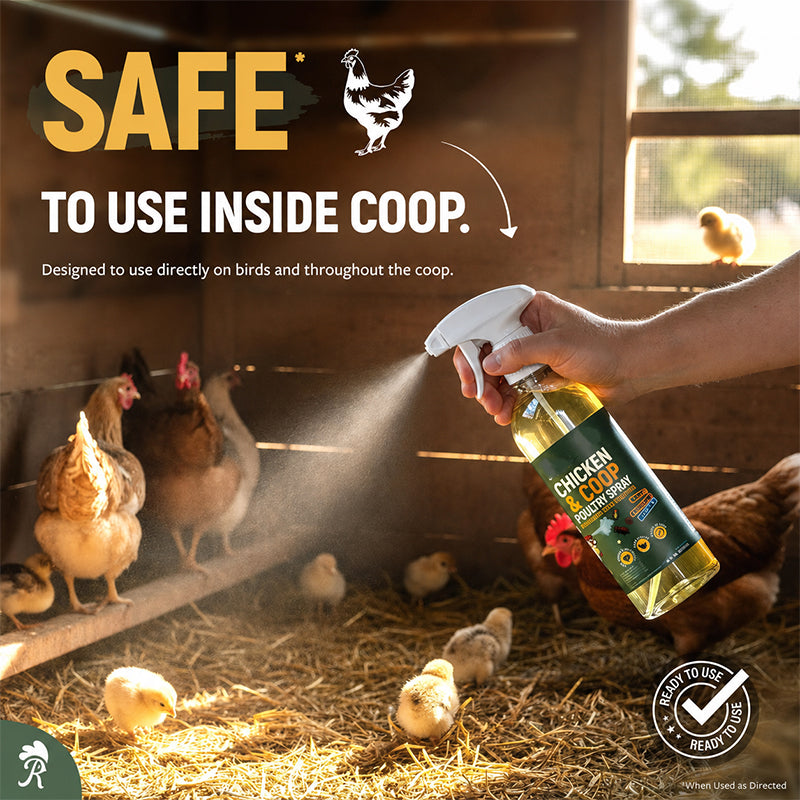 🐓🌿 Naturlig rengjøringsspray for hønsehus – Dyp rengjøring, nøytraliserte lukter og et sunnere miljø for hønene dine.