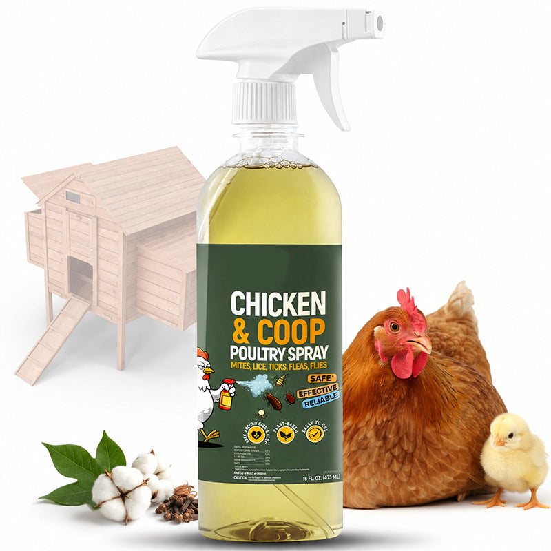 🐓🌿 Naturlig rengjøringsspray for hønsehus – Dyp rengjøring, nøytraliserte lukter og et sunnere miljø for hønene dine.