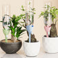 ⏰🔥BEGRENSET TID: bare 79 kr!💦Justerbar dryppvanningsspyd for planter med automatisk vanning