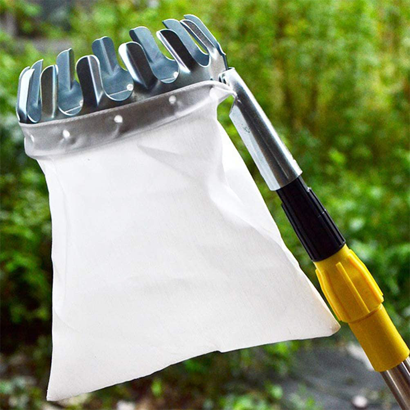 📢📢 50 % RABATT! ⏰ Fruktplukkerhode med kurv – Slitesterk konstruksjon og enkel montering for høye greiner uten stige 🌳