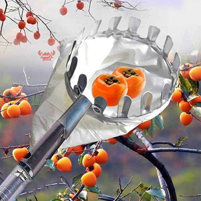📢📢 50 % RABATT! ⏰ Fruktplukkerhode med kurv – Slitesterk konstruksjon og enkel montering for høye greiner uten stige 🌳