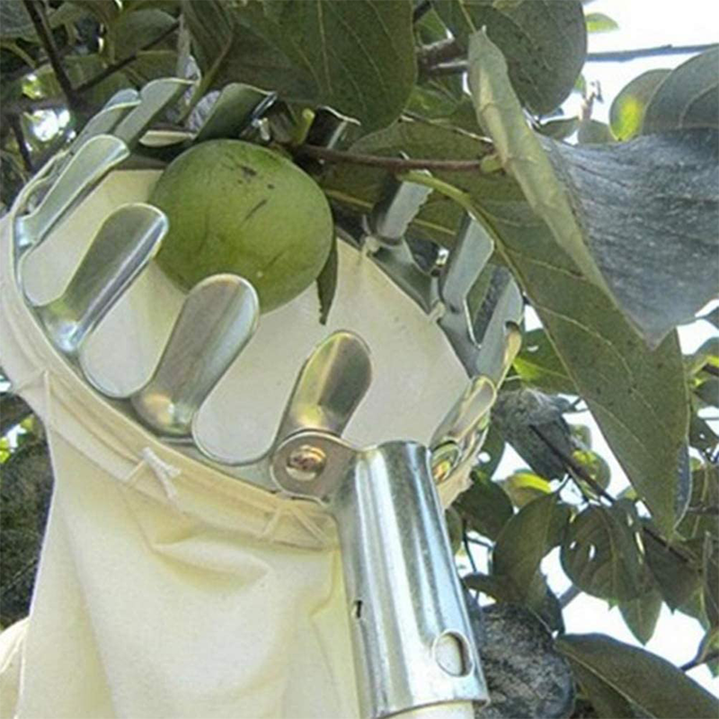 📢📢 50 % RABATT! ⏰ Fruktplukkerhode med kurv – Slitesterk konstruksjon og enkel montering for høye greiner uten stige 🌳