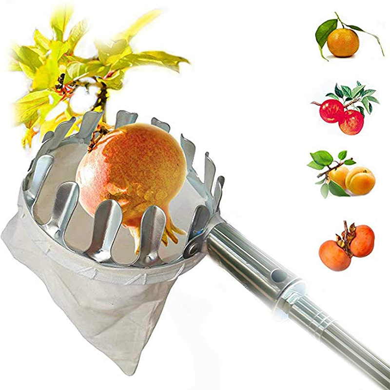 📢📢 50 % RABATT! ⏰ Fruktplukkerhode med kurv – Slitesterk konstruksjon og enkel montering for høye greiner uten stige 🌳