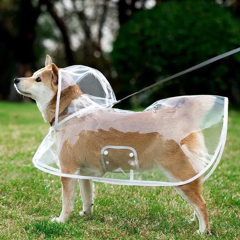 🐕 Gjennomsiktig vanntett regnjakke for hund – hold hunden tørr og synlig på regnværsturer 🌧️