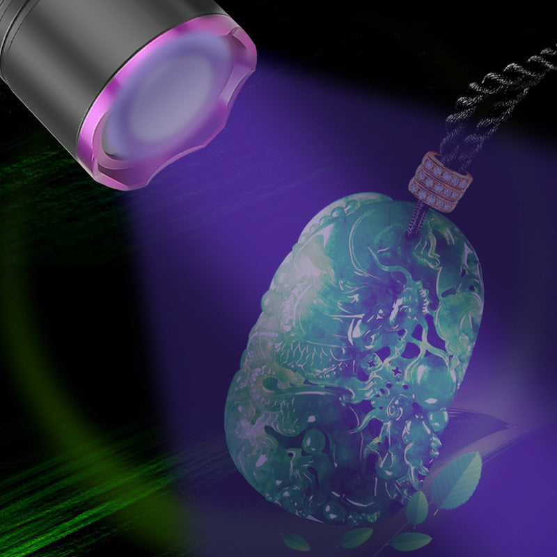 Rechargeable Multi-Function UV Flashlight